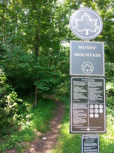 The “Moses' Mountain” hiking trail preserves the former Richmond Parkway right-of-way as public parkland (Patrick Nugent, 2015).